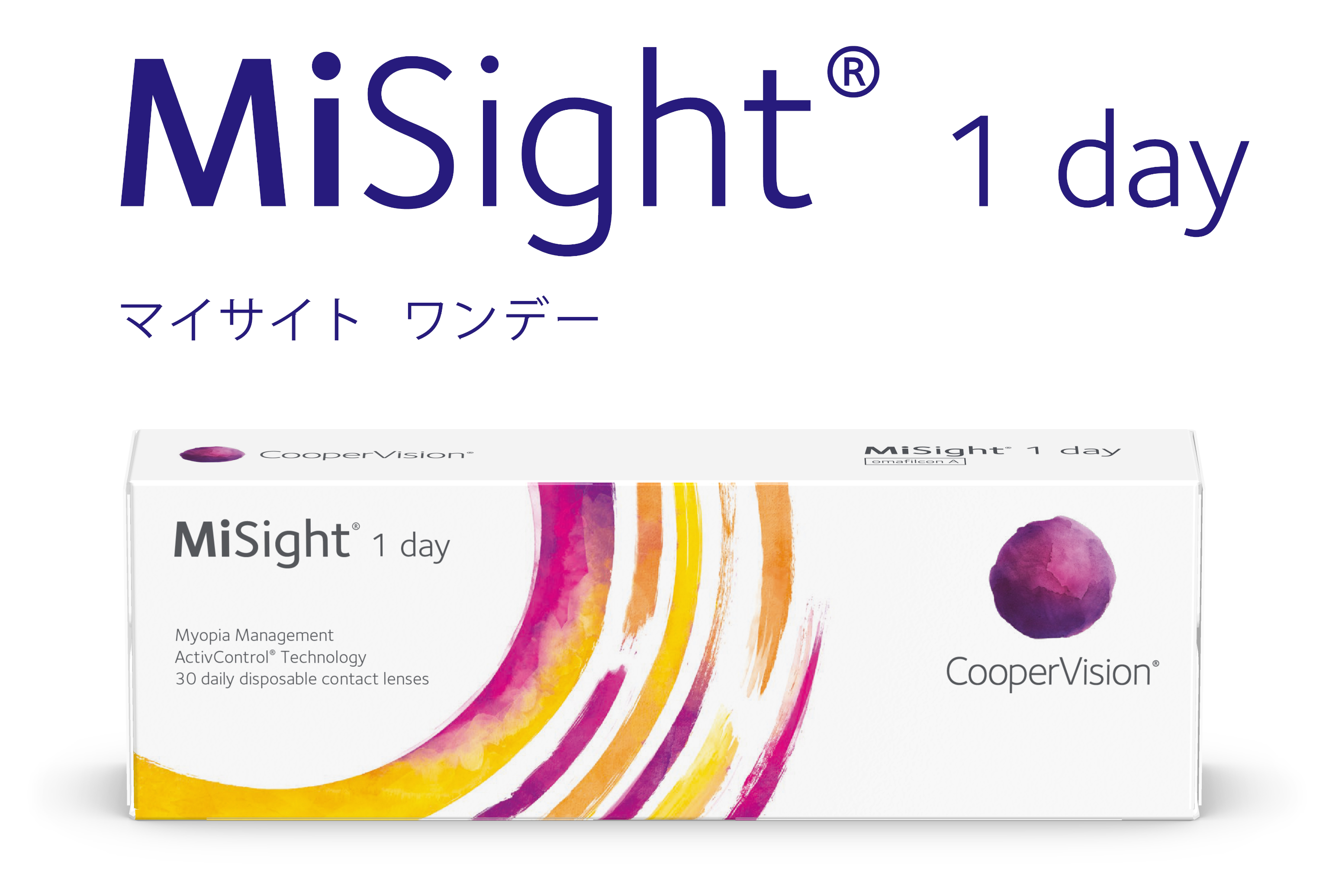 マイサイト ワンデー